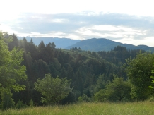 Cabana Festung - alloggio in  Rucar - Bran, Moeciu, Bran (03)