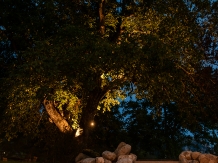 Hai La Munte Bran - accommodation in  Rucar - Bran, Moeciu, Bran (02)