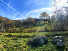 Transylvania Mountain - alloggio in  Rucar - Bran, Moeciu, Bran (08)