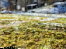 Transylvania Mountain - cazare Rucar - Bran, Moeciu, Bran (41)