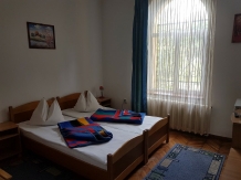 Vila Crinilor - accommodation in  Olt Valley (13)