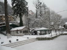 Vila Crinilor - alloggio in  Valea Oltului (17)