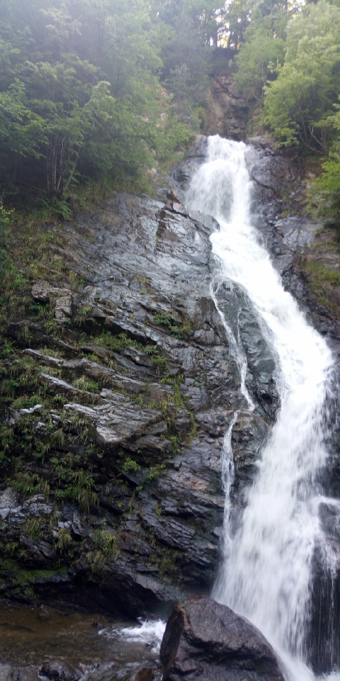 Vila Crinilor - alloggio in  Valea Oltului (Attivit&agrave; e i dintorni)