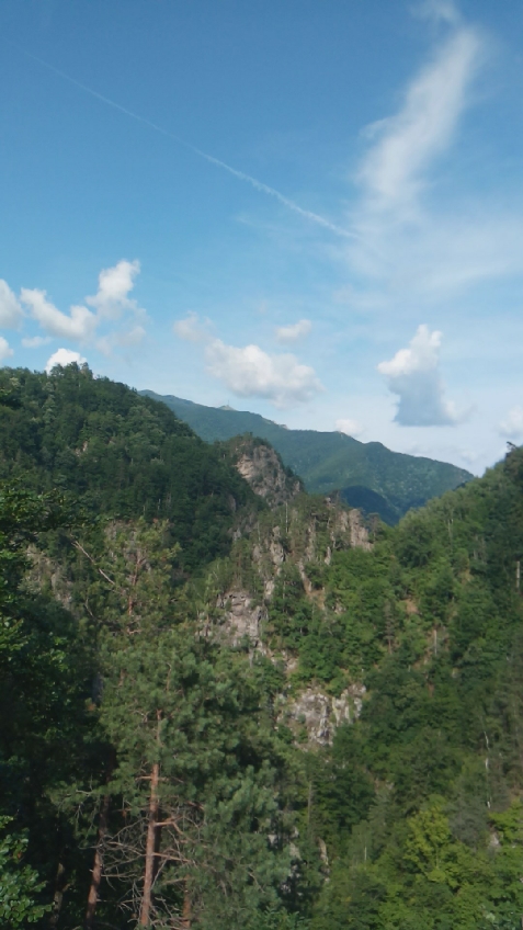 Vila Crinilor - alloggio in  Valea Oltului (Attivit&agrave; e i dintorni)