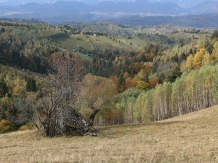 Casa cu Drag - cazare Rucar - Bran, Moeciu (27)