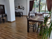 Pensiunea Alesia - accommodation in  Muntenia (14)