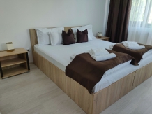 Pensiunea Alesia - accommodation in  Muntenia (29)