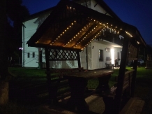 Pensiunea Alesia - accommodation in  Muntenia (41)