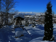 Pensiunea Poarta Bucegilor Bran - accommodation in  Rucar - Bran, Moeciu, Bran (05)