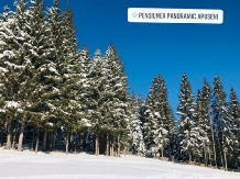 Pensiunea Panoramic Apuseni - accommodation in  Apuseni Mountains, Belis (04)