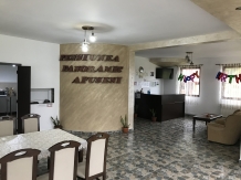 Pensiunea Panoramic Apuseni - accommodation in  Apuseni Mountains, Belis (26)