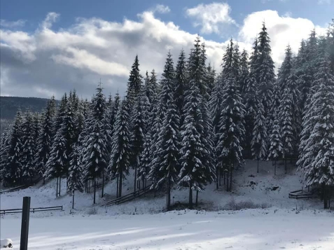 Pensiunea Panoramic Apuseni - alloggio in  Apuseni, Belis (Attivit&agrave; e i dintorni)