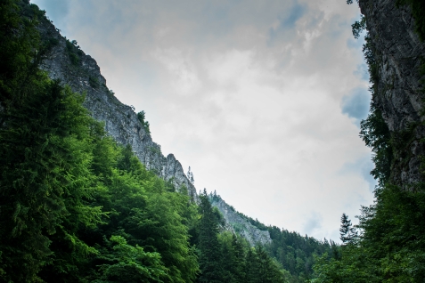 Alpin Ranch - cazare Rucar - Bran, Piatra Craiului, Rasnov (Activitati si imprejurimi)