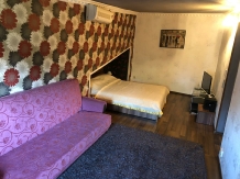 Pensiunea Luisa Craiova - accommodation in  Oltenia (02)