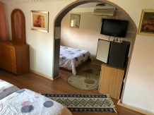 Pensiunea Luisa Craiova - accommodation in  Oltenia (06)