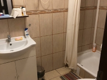 Pensiunea Luisa Craiova - accommodation in  Oltenia (11)