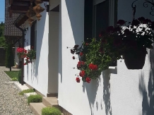 Casa Diana Confort - alloggio in  Fagaras e vicinanze (02)