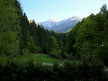 Casa Diana Confort - alloggio in  Fagaras e vicinanze (03)