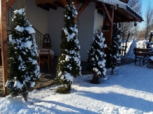 Casa Diana Confort - accommodation in  Fagaras and nearby (14)