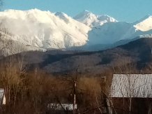 Casa Diana Confort - alloggio in  Fagaras e vicinanze (40)