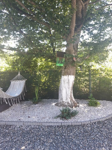 Casa Diana Confort - accommodation in Fagaras and nearby (Surrounding) Casa Diana Confort - accommodation in Fagaras and nearby (Surrounding)