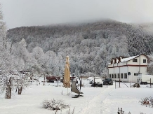 Casa Iaroslave - alloggio in  Nord Oltenia (04)