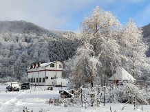 Casa Iaroslave - accommodation in  North Oltenia (07)