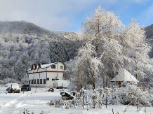 Casa Iaroslave - alloggio in  Nord Oltenia (07)