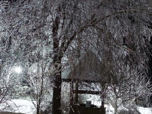 Casa Iaroslave - alloggio in  Nord Oltenia (09)