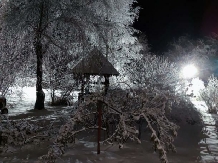 Casa Iaroslave - alloggio in  Nord Oltenia (11)