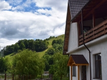 Casa Iaroslave - alloggio in  Nord Oltenia (14)