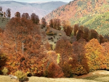 Casa Iaroslave - alloggio in  Nord Oltenia (42)