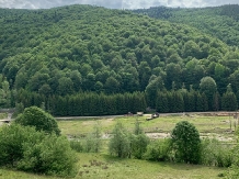 Casa Iaroslave - alloggio in  Nord Oltenia (47)