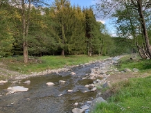 Casa Iaroslave - alloggio in  Nord Oltenia (51)