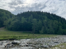 Casa Iaroslave - alloggio in  Nord Oltenia (52)