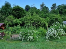 Casa Iaroslave - alloggio in  Nord Oltenia (54)