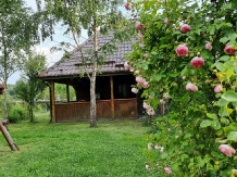 Casa Iaroslave - alloggio in  Nord Oltenia (56)