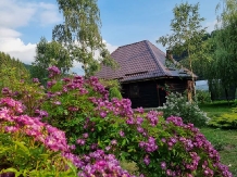 Casa Iaroslave - alloggio in  Nord Oltenia (58)