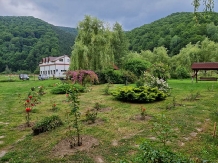 Casa Iaroslave - accommodation in  North Oltenia (60)
