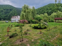 Casa Iaroslave - alloggio in  Nord Oltenia (60)