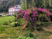 Casa Iaroslave - alloggio in  Nord Oltenia (61)