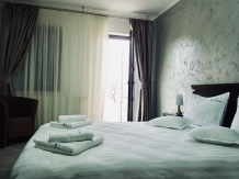 Vila Avram - accommodation in  Oltenia (31)
