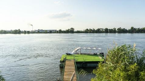 Califarul Alb - alloggio in  Delta del Danubio (Attivit&agrave; e i dintorni)