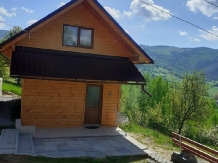 Rural accommodation at  Cabanuta Stefan
