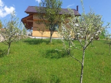 Cabanuta Stefan - accommodation in  Apuseni Mountains, Motilor Country, Arieseni (03)