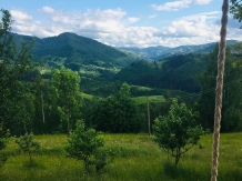 Cabanuta Stefan - alloggio in  Apuseni, Tara Motilor, Arieseni (12)