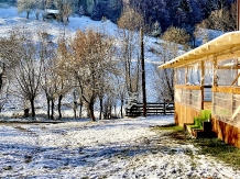 Valea Cu Molizi - accommodation in  Rucar - Bran, Moeciu (10)