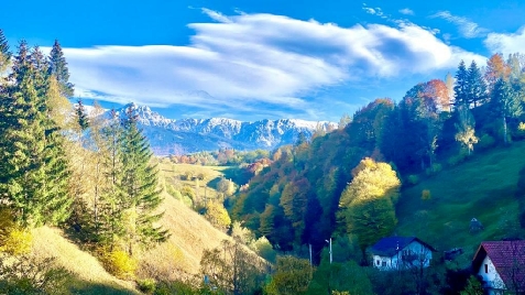 Valea Cu Molizi - cazare Rucar - Bran, Moeciu (Activitati si imprejurimi)