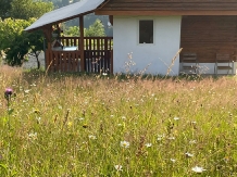 Rural accommodation at  Cabanuta Anisia