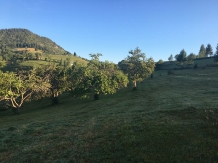 Cabanuta Anisia - accommodation in  Apuseni Mountains, Motilor Country, Arieseni (11)
